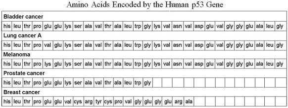 Table 8.3   -Based on the information in Table 8.3,prostate cancer is probably the result of which kind of mutation? A) analog B) frameshift C) missense D) nonsense E) None of the answers is correct.