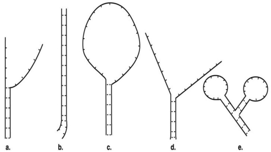 a nucleic acid hybridization experiment produced the following results