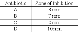 <strong>Table 20.2 The following results were obtained from a disk-diffusion test for microbial susceptibility to antibiotics.Staphylococcus aureus was the test organism.   In Table 20.2,the most effective antibiotic tested was</strong> A)A) B)B) C)C) D)D) E)The answer cannot be determined based on the information provided. <div style=padding-top: 35px> 