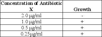 <strong>Table 20.3 The following data were obtained from a broth dilution test:   Bacteria from the 0.25 μg/ml tube were transferred to new growth media Containing antibiotic X with the following results:   The data in Table 20.3 show that these bacteria</strong> A)are pathogenic. B)developed resistance to antibiotics. C)were killed by 0.125 μg/ml of antibiotic X. D)were killed by 0.5 μg/ml of antibiotic X. E)were resistant to 1.0 μg/ml at the start of the experiment. <div style=padding-top: 35px> 