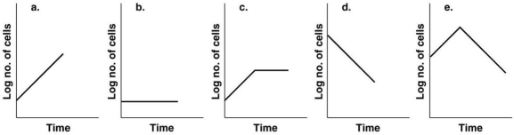 Figure 28.2    -Which of the growth curves in Figure 28.2 is indicating the culture has reached the trophophase? A) a B) b C) c D) d E) e