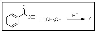 What is the major product of the following reaction:   A)    B)    C)    D)    E)   