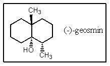 The structure of (-) -geosmin is shown below.Which structure would be that of its enantiomer,(+) -geosmin?   A)    <sup> </sup> B)    C)    D)    E)  None of the above.