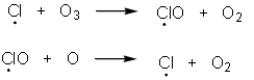 Chemists have determined that chlorofluorocarbons are contributing to destruction of the protective ozone layer.Upon irradiation of chlorofluorcarbons,chlorine radicals are produced and react with the ozone via the chemical process shown below.Which of the following statement(s) are true based upon these equations?   A)  Termination steps in the equations above are contributing to ozone depletion. B)  A single chlorine radical is capable of destroying many molecules of ozone since it is regenerated. C)  Chlorine radicals are the result of a heterolytic cleavage of the C-Cl bond of the chlorofluorocarbon. D)  A,B and C are correct. E)  B and C are correct.
