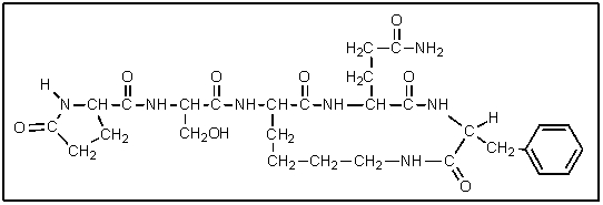 How many amino acid residues are present in the following polypeptide?   A)  4 B)  5 C)  6 D)  7 E)  8