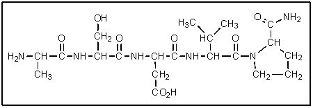 What would be the abbreviated name of the following polypeptide?   A)  val-thr-glu-ala-gln B)  ala-thr-glu-val-gln C)  met-ser-asp-leu-pro-NH<sub>2</sub> D)  ala-ser-asp-val-gln E)  ala-ser-asp-val-pro-NH<sub>2</sub>