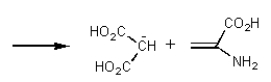 It was not until 1974 that <font face= symbol ></font>-carboxyglutamic acid (shown below) was discovered (by researchers at the University of Colorado) in polypeptides.Based on your knowledge of organic chemistry,what is the most likely reason that this particular amino acid escaped identification so long?   A)  It tended to spontaneously form a cyclic anhydride:   B)  It tended to spontaneously lose carbon dioxide:   C)  It easily underwent a reverse-Knovenagle reaction:   D)  It tended to spontaneously form a cyclic amide (lactam) :   E)  It was simply too polar to extract into non-polar organic solvents.