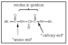 Chymotrypsin catalyzes hydrolysis of peptide bonds where?   A)  At the carboxy end of residues with basic side chains B)  At the amino end of residues containing aliphatic residues C)  At the carboxy end of residues with aromatic side chains D)  At the amino end of residues with aromatic side chains E)  At the carboxy end of methionine residues