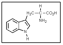 Why is the additional (ring) nitrogen in tryptophan not very basic?   A)  Cyclic amines are not basic. B)  It is too far from the carboxyl group to be effected. C)  Aromatic amines are weakly basic because of resonance. D)  The additional amine group is offset by an additional carboxylic acid group. E)  It is sp<sup>2</sup> hybridized as therefore not as basic.