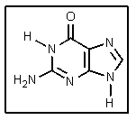 What is the name of the DNA base shown?   A)  Guanine B)  Cytosine C)  Adenine D)  Uracil E)  Thymine