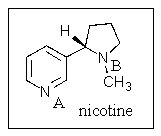 Which nitrogen,if either,is the more basic in nicotine?   A)  Nitrogen A is more basic. B)  Nitrogen B is more basic. C)  The nitrogens are equally basic. D)  Neither nitrogen is basic. E)  There is no basis on which to predict this.