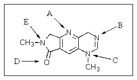 Which atom in the following heterocycle would be the most basic?   A)  A B)  B C)  C D)  D E)  E