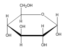 What would be the name of the following sugar?   A)  (<font face= symbol ></font>-D-glucopyranose)  B)  (<font face= symbol ></font>-D-galactopyranose)  C)  (<font face= symbol ></font>-D-glucopyranose)  D)  (<font face= symbol ></font>-D-galactopyranose)  E)  (<font face= symbol ></font>-D-glucofuranose) 