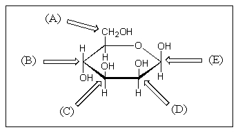 Which of the following is referred to as the anomeric carbon?   A)  A B)  B C)  C D)  D E)  E