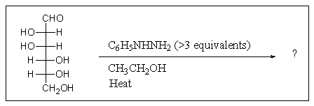 Predict the major product of the following reaction.   A)    B)    C)    D)    E)   
