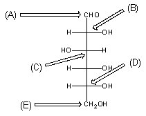 Which of the following arrows correctly points to the anomeric carbon?   A)  Arrow A B)  Arrow B C)  Arrow C D)  Arrow D E)  Arrow E