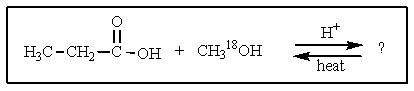 In the reaction shown below,which product(s) would be formed?   A)    <sup> </sup> B)    C)    D)    E)  both A and B