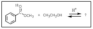 What would be the organic product of the following reaction? (<sup>18</sup>O is a rare oxygen isotope.)    A)    <sup> </sup> B)    C)    D)  More than one of these. E)  None of these.