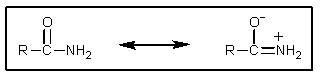How can the importance of the following resonance be evaluated?   A)  Charged resonance structures are always more important. B)  The C=O IR stretch for amides is significantly different than for other C=O groups. C)  The water solubility of amides implicates charged structures. D)  The C-N rotational barrier can be determined by NMR. E)  More than one of the above are correct.