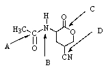 Which,if any,functional group in the molecule below would undergo basic hydrolysis most easily?   A)  A B)  B C)  C D)  D E)  None of these groups would react.