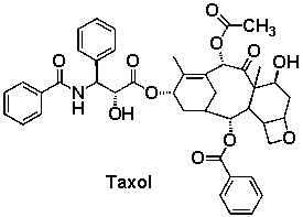 How many ester functional groups are in the potent anticancer compound Taxol?   A)  0 B)  1 C)  2 D)  3 E)  4