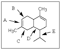 Of those indicated,which would be the shortest carbon-carbon bond in <font face= symbol ></font>-cadinene?   A)  A B)  B C)  C D)  D E)  E
