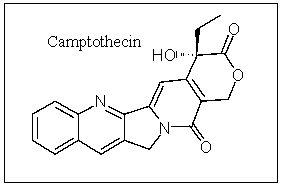 Camptothecin is an important anticancer compound; how many carbons are in the sp hybridization state?   A)  0 B)  1 C)  2 D)  3 E)  4