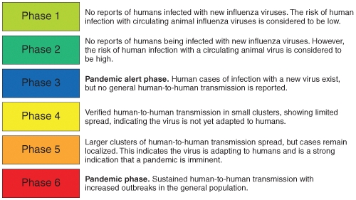 Examine this figure closely.What will occur before a Phase 3 outbreak determination is made?   A) Recognition that avaiable medications are inaqequate B) Recognition that vaccination status within populations is inadequate C) Air travel from areas of outbreak to unaffected areas D) Recognition of a significant increase in disease incidence in non-human populations E) Recognition of zoonotic transmission