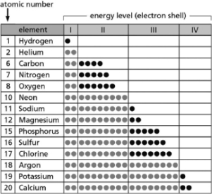  Table 2-14 -Table 2-14 indicates the number and arrangement of electrons in the first four atomic electron shells for selected elements.On the basis of the information in the chart and what you know about atomic structure, which elements will form ions with a net charge of +2 in solution?  A) carbon; sulfur B) helium; neon C) sodium; potassium D) magnesium; calcium