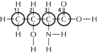 Most types of molecules in the cell have asymmetric (chiral)  carbons.Consequently there is the potential to have two different molecules that look much the same but are mirror images of each other and therefore not equivalent.These special types of isomers are called stereoisomers.Which of the four carbons circled in Figure 2-37 is the asymmetric carbon that determines whether the amino acid (threonine in this case)  is a ᴅ or an ʟ stereoisomer?   Figure 2-37 A) 1 B) 2 C) 3 D) 4