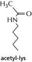 Eukaryotic cells have their DNA molecules inside their nuclei.However, to package all the DNA into such a small volume requires the cell to use specialized proteins called histones.Histones have amino acid sequences enriched for lysines and arginines. A.What problem might a cell face in trying to package DNA into a small volume without histones, and how do these special packaging proteins alleviate the problem? B.Lysine side chains are substrates for enzymes called acetylases.A diagram of an acetylated lysine side chain is shown in Figure 2-78.How do you think the acetylation of lysines in histone proteins will affect the ability of a histone to perform its role (refer to your answer in part A)?   Figure 2-78<div style=padding-top: 35px> 