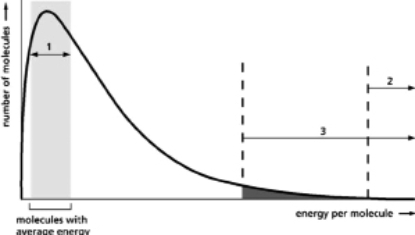 Figure 3-72 illustrates the amount of energy per molecule for a population in a contained, controlled environment.Most molecules will have the average energy of the population, shown in region 1.The number of molecules in the population with enough energy to be converted to product is shown in region 2.The number of molecules with enough energy to react in the presence of enzyme is shown in region 3.Use this information to explain how enzymes catalyze reactions.   Figure 3-72<div style=padding-top: 35px> 