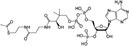 Coenzyme A can be converted to acetyl CoA, which is an important activated carrier molecule that has a central role in metabolism and can be used to add two carbons in each successive cycle of fatty acid synthesis. A.Identify the location and type of high-energy bond in the acetyl CoA molecule shown in Figure 3-77. B.How does the bond energy help promote the synthesis of fatty acids? C.What function does the rest of the coenzyme A molecule serve in these reaction pathways?    Figure 3-77