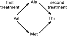 After treating cells with a mutagen, you isolate two mutants.One carries alanine and the other carries methionine at a site in the protein that normally contains valine.After treating these two mutants again with mutagen, you isolate mutants from each that now carry threonine at the site of the original valine (see Figure 7-67).Assuming that all mutations caused by the mutagen are due to single nucleotide changes, deduce the codons that are used for valine, alanine, methionine, and threonine at the affected site.    Figure 7-67  \text { The Genetic Code }   \begin{array}{|l|l|l|l|l|} \hline & \text { U } & \text { C } & \text { A } & \text { G } \\ \hline &\text { UUU Phe (F) } & \text { UCU Ser (S) } & \text { UAU Tyr (Y) } & \text { UGU Cys (C) } \\ &\text { UUC - } & \text { UCC - } & \text { UAC - } & \text { UGC - } \\  \text { U } &\text { UUA Leu (L) } & \text { UCA -- } & \text { UAA Stop } & \text { UGA Stop } \\ &\text { UUG - } & \text { UCG - } & \text { UAG Stop } & \text { UGG Trp (W) } \\ \hline &\text { CUU Leu (L) } & \text { CCU Pro (P) } & \text { CAU His (H) } & \text { CGU Arg (R) } \\ &\text { CUC - } & \text { CCC - } & \text { CAC - } & \text { CGC - } \\  \text { C}&\text { CUA - } & \text { CCA - } & \text { CAA Gin (Q) } & \text { CGA - } \\ &\text { CUG }- & \text { CCG }- & \text { CAG }- & \text { CGG }- \\ \hline &\text { AUU Ile (I) } & \text { ACU Thr (T) } & \text { AAU Asn (N) } & \text { AGU Ser (S) } \\ &\text { AUC - } & \text { ACC - } & \text { AAC - } & \text { AGC - } \\  \text { A}&\text { AUA - } & \text { ACA - } & \text { AAA Lys (K) } & \text { AGA Arg (R) } \\ &\text { AUG Met (M) } & \text { ACG - } & \text { AAG - } & \text { AGG - } \\ \hline &\text { GUU Val (V) } & \text { GCU Ala (A) } & \text { GAU Asp (D) } & \text { GGU Gly (G) } \\ &\text { GUC - } & \text { GCC - } & \text { GAC - } & \text { GGC - } \\  \text { G}&\text { GUA - } & \text { GCA - } & \text { GAA Glu (E) } & \text { GGA - } \\ &\text { GUG - } & \text { GCG - } & \text { GAG - } & \text { GGG - } \\ \hline \end{array}   Table 7-29 