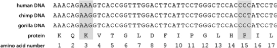 Figure 9-17 Shows the Nucleotide Sequence from a Protein-Coding Region