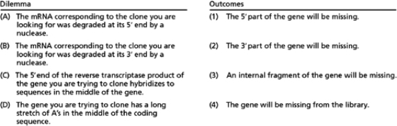 Some plasmids from cDNA libraries can have defects because of the way in which a cDNA library is constructed.For each dilemma (A to D) listed below, indicate which of the outcomes (1 to 4) you might encounter, and explain why.Outcomes may be used more than once.   Table 10-54<div style=padding-top: 35px> 