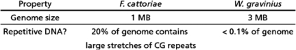 You have been asked to consult for a biotech company that is seeking to understand why some fungi can live in very extreme environments, such as the high temperatures inside naturally occurring hot springs.The company has isolated two different fungal species, F.cattoriae and W.gravinius, both of which can grow at temperatures exceeding 95°C.The company has determined the following things about these fungal species:   By sequencing and examining their genomes, the biotech company hopes to understand why these species can live in extreme environments.However, the company only has the resources to sequence one genome, and would like your input as to which species should be sequenced and whether you believe a shotgun strategy will work in this case.(Be sure to explain your answer.)<div style=padding-top: 35px> 