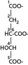In step 3 of the citric acid cycle, the oxidation of isocitrate and the production of CO<sub>2</sub> are coupled to the reduction of NAD<sup>+</sup>, generating NADH and an α-ketoglutarate molecule.In the isocitrate molecule shown in Figure 13-32, which carbon is lost as CO<sub>2</sub> and which is converted to a carbonyl carbon?   Figure 13-32 A) 4 and 6 B) 6 and 5 C) 5 and 4 D) 6 and 4