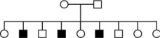 Shown in Figure 19-22 is a genetic pedigree of a family with several members affected by a heritable disease.Affected individuals are shown in black and healthy individuals are shown in white.Males are shown as boxes and females as circles.Can a single mutation explain the pattern of inheritance? Is the mutation responsible for the disease dominant or recessive? Is the mutation carried on the X chromosome, the Y chromosome, or an autosome?    Figure 19-22