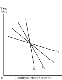 Exhibit 27-1 ​    -Refer to Exhibit 27-l. Four demand curves for labor are displayed: D<sub>1</sub>, D<sub>2</sub>, D<sub>3</sub>, and D<sub>4</sub>. Which provides the least pronounced wage-employment tradeoff? A) D<sub>1</sub> B) D<sub>2</sub> C) D<sub>3</sub> D) D<sub>4</sub>