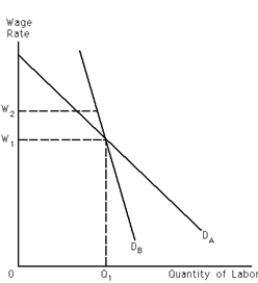 Exhibit 27-9 ​    -Refer to Exhibit 27-9. Let D<sub>A</sub> and D<sub>B</sub> represent demand for labor curves facing unions A and B, respectively. As a result of their efforts, both unions succeed in increasing the wage rate from W<sub>1</sub> to W<sub>2</sub>. In terms of the wage-employment trade-off, the wage increase A) had a larger impact on employment for union A than for union B. B) had a larger impact on employment for union B than for union A. C) had the same impact on employment in both unions. D) cannot be determined without further information.