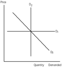 Exhibit 19-1 ​    -Refer to Exhibit 19-l. The demand for the good represented by demand curve D<sub>2</sub> is A) inelastic. B) elastic. C) unit elastic. D) perfectly elastic. E) perfectly inelastic.
