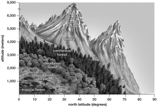   -What biome would you expect to find at 20° N latitude and elevations of 2,500 meters? A) tundra B) coniferous forest C) deciduous forest D) tropical forest E) ice and snow