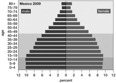 Based on its population pyramid, this population:   A) is expanding. B) is remaining the same. C) is in a boom-and-bust cycle. D) is showing negative growth. E) has reached its carrying capacity.