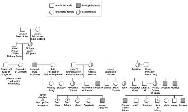 Based on this pedigree, which individual was a carrier for hemophilia but did not suffer from the disease?   A) Frederick B) Alexandra of Denmark C) Irene D) Gonzalo E) Victoria, Princess of Saxe-Coburg