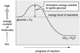 If this figure shows the metabolism of glucose and oxygen to CO2 and H2O, where do the carbon in CO2 and the hydrogen in H2O come from?   A) glucose B) the products of the reaction C) the activation energy of the reaction D) the catalyst