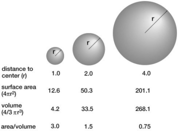 If the radius of one cell were twice as large as the radius of another cell, how much higher or lower would its surface area-to-volume ratio be?   A) two times higher B) two times lower C) half (lower)  D) ten times higher