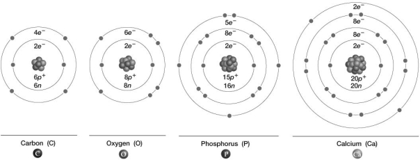 Which of these atoms would become inert if it accepted three electrons?   A) carbon B) hydrogen C) phosphorus D) calcium