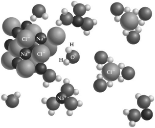 Which of the following is attracted to the hydrogen  end  of a water molecule, as depicted in this figure?   A) NaCl B) H C) Cl- D) Na+