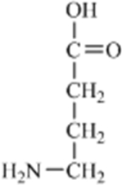 Which of the amino acids is a building block for proteins? A)    B)    C)    D)    E)   